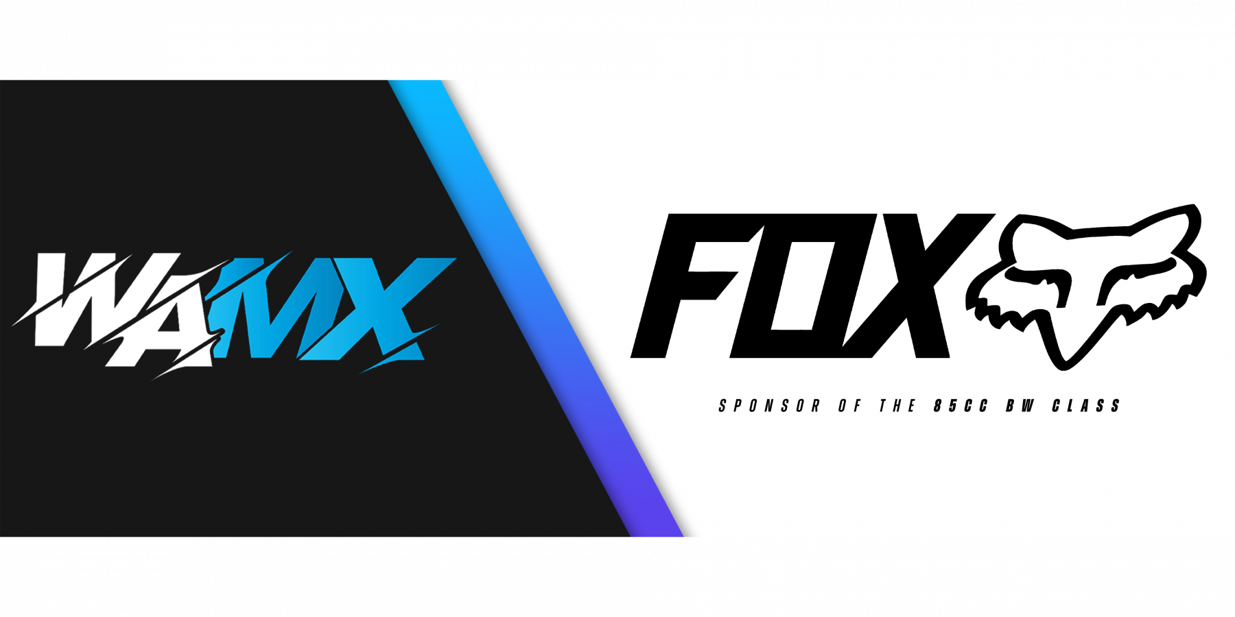 FOX-Tag